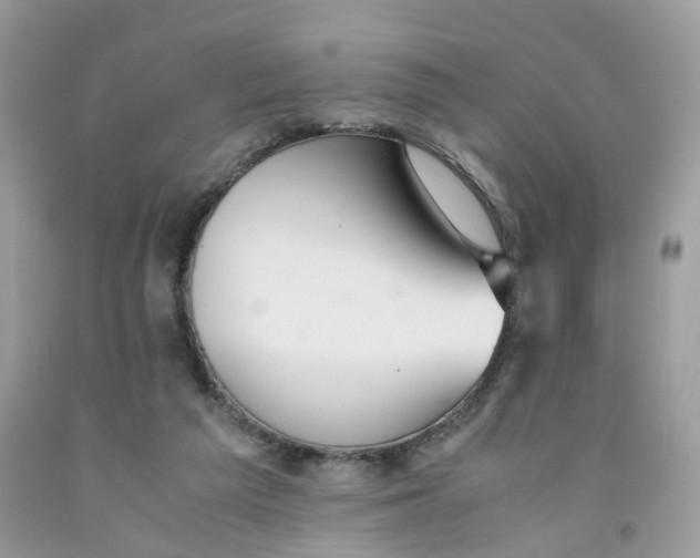 X0000091540209200709141502