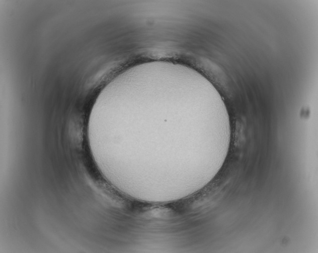 X0000091540210200709141502