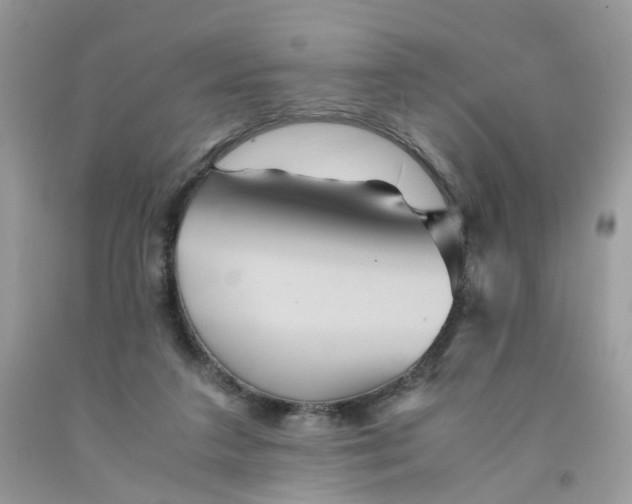 X0000091540211200709141502