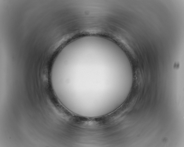 X0000091540212200709141502