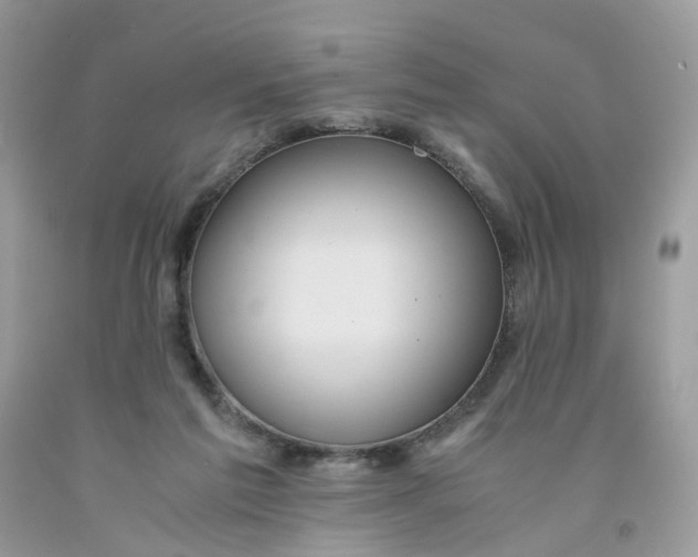 X0000091540213200709141502