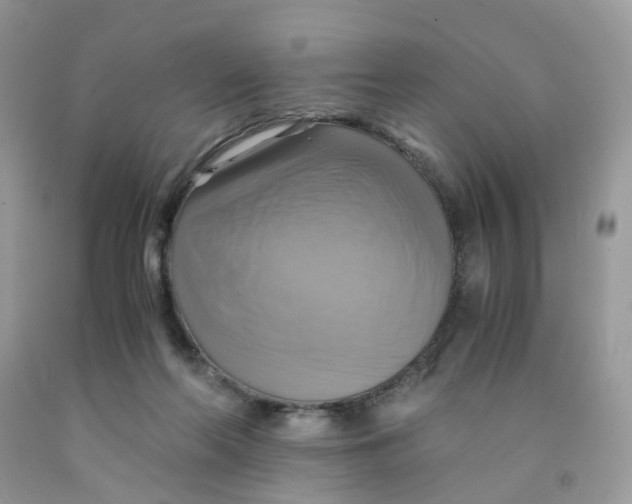 X0000091540214200709141502