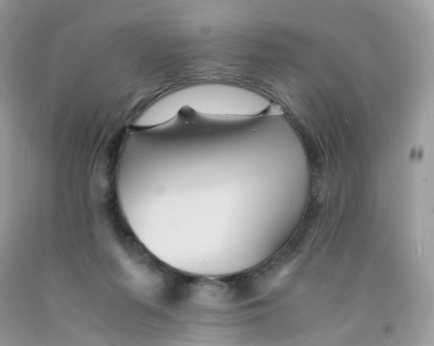 X0000091540215200709141502