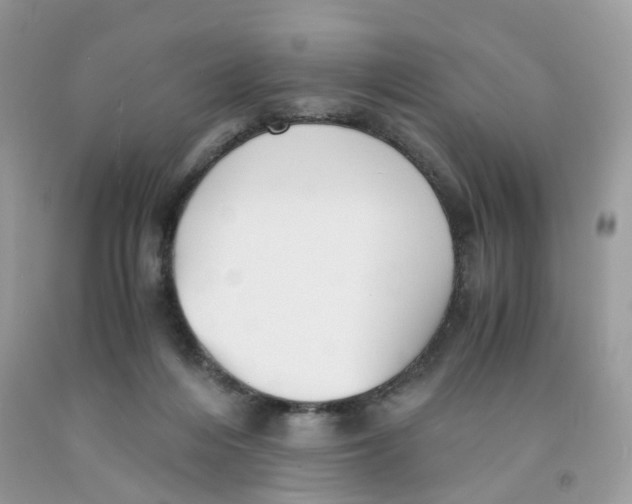 X0000091540216200709141502