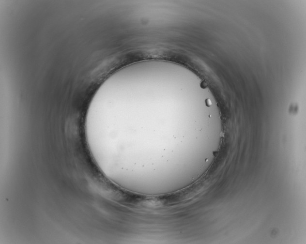 X0000091540217200709141502