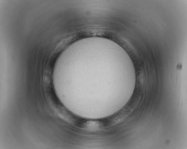 X0000091540218200709141502