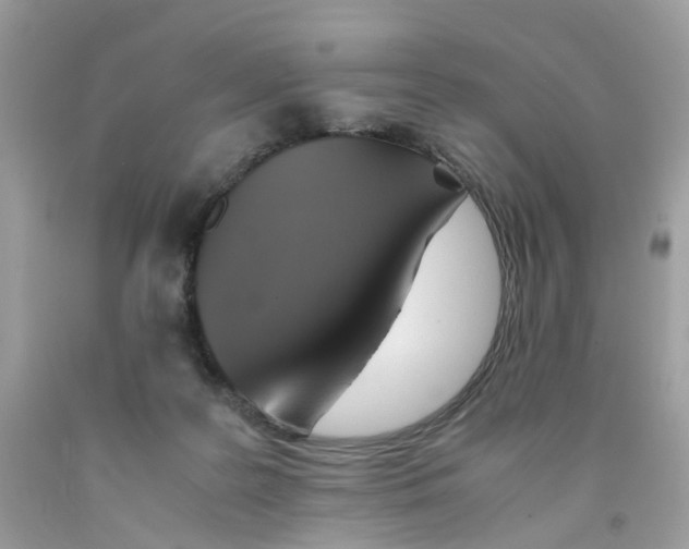 X0000091540219200709141502