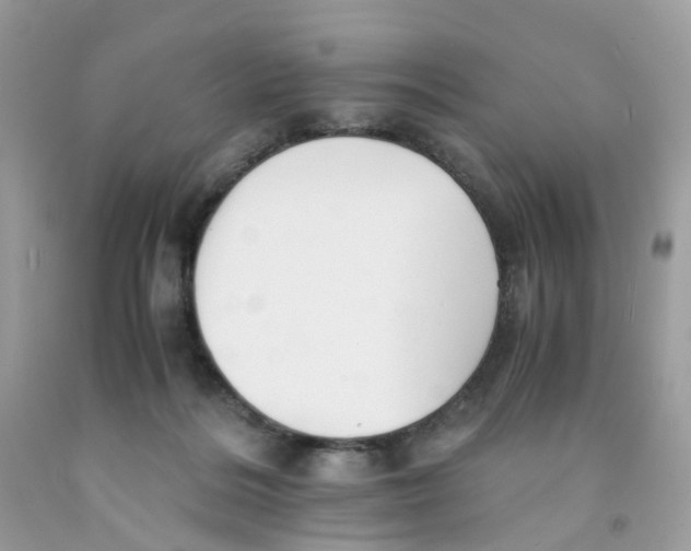 X0000091540220200709141502