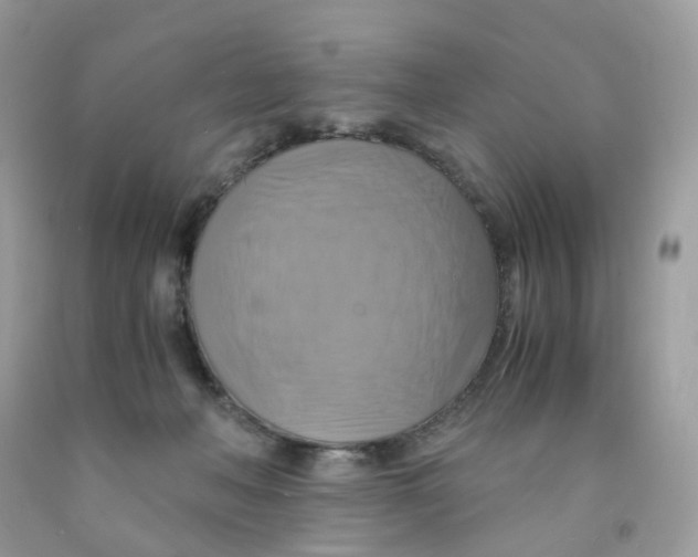 X0000091540222200709141502