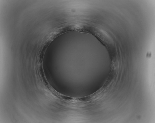 X0000091540223200709141502