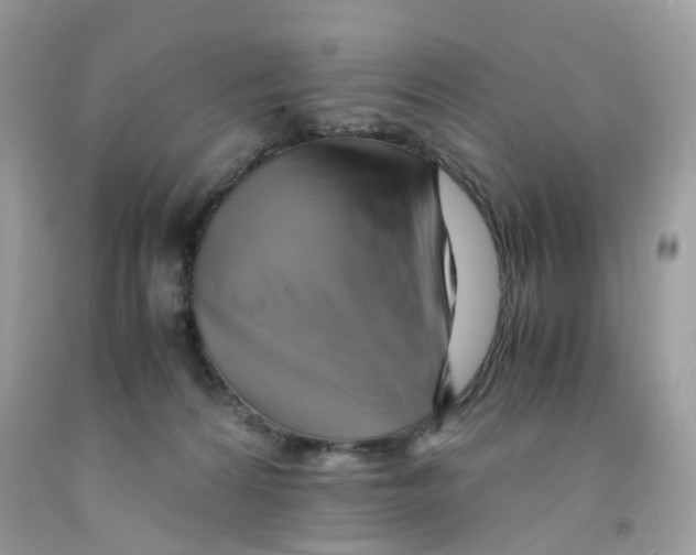 X0000091540224200709141502