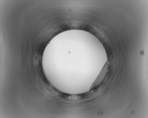 X0000091540225200709141502