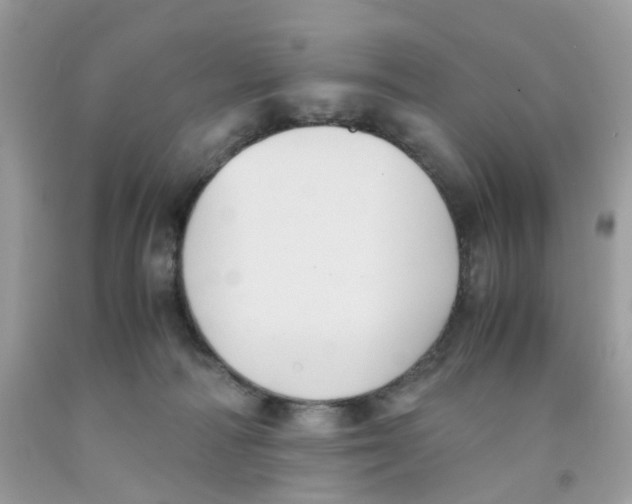 X0000091540226200709141502