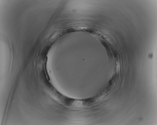 X0000091540227200709141502