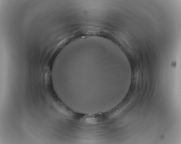 X0000091540228200709141502