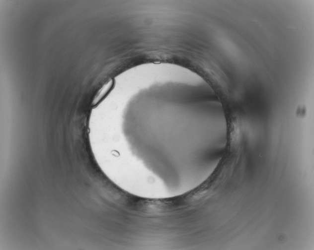 X0000091540229200709141502