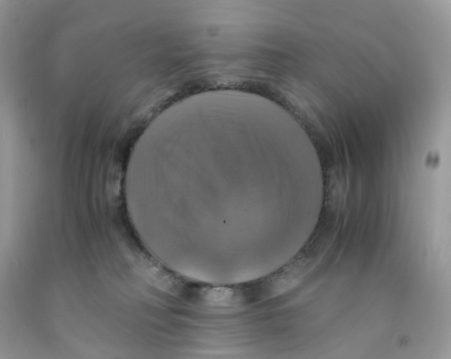 X0000091540230200709141502