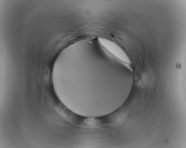 X0000091540231200709141502