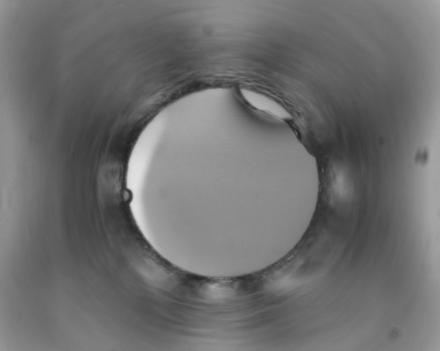 X0000091540232200709141502