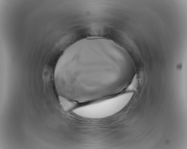 X0000091540233200709141502