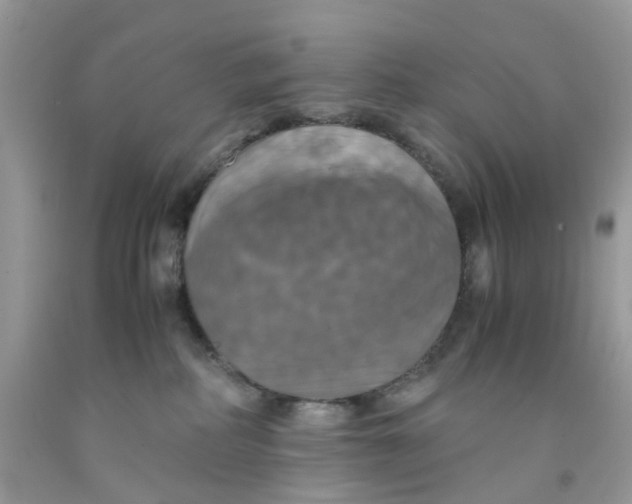 X0000091540234200709141502