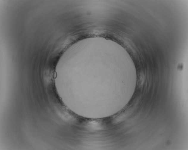 X0000091540236200709141502