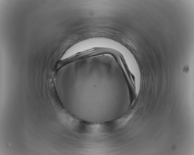 X0000091540237200709141502