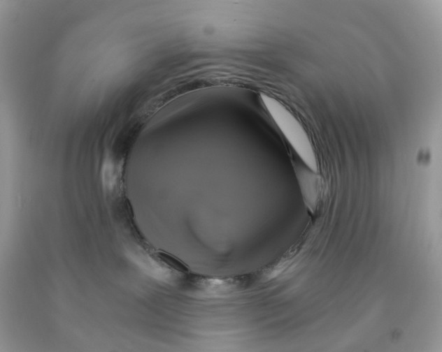 X0000091540239200709141502