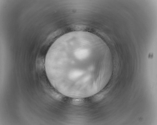 X0000091540240200709141502