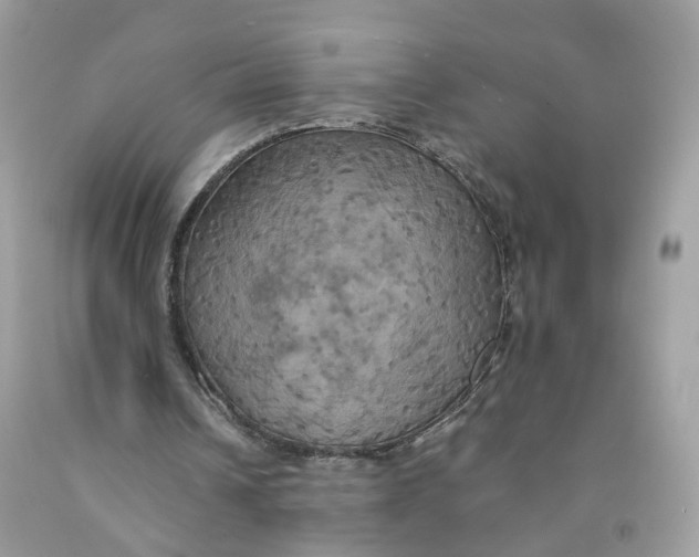 X0000091540242200709141501