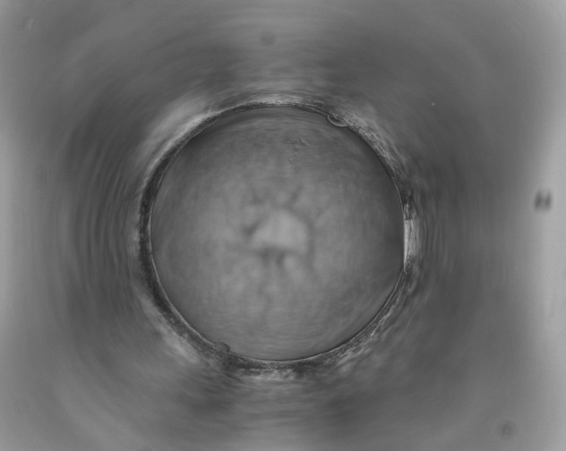 X0000091540243200709141501