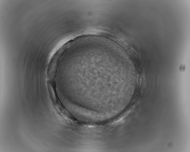 X0000091540244200709141501