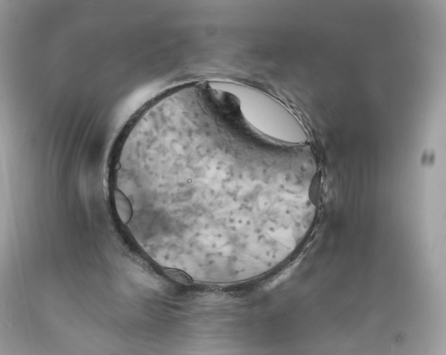 X0000091540246200709141501