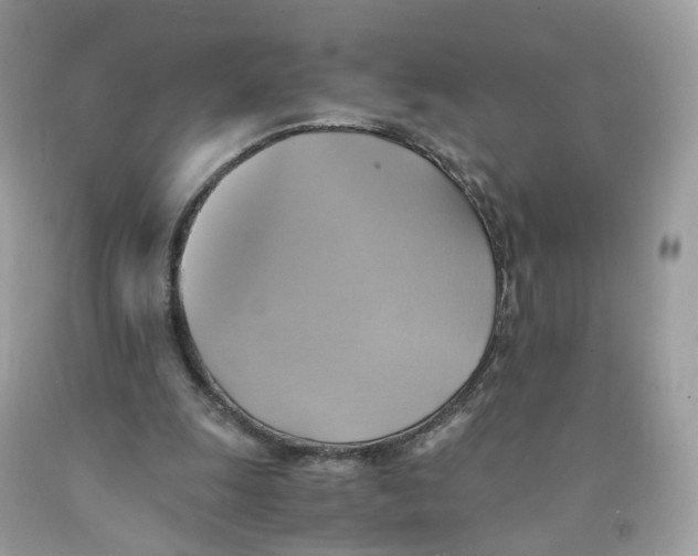 X0000091540247200709141501