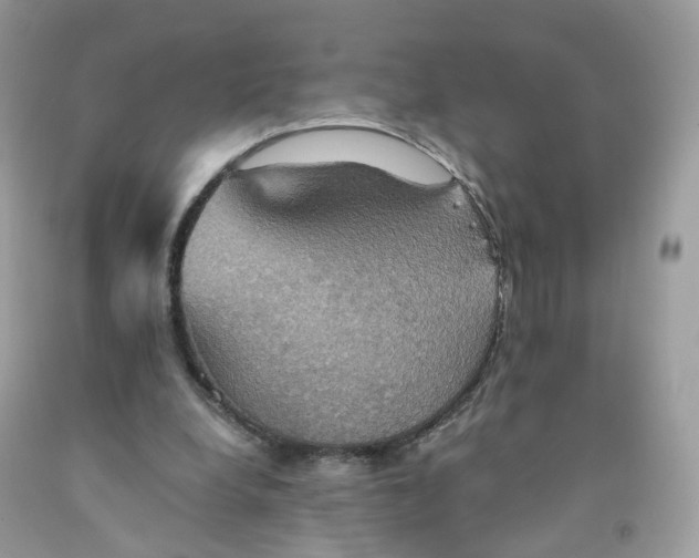 X0000091540248200709141501