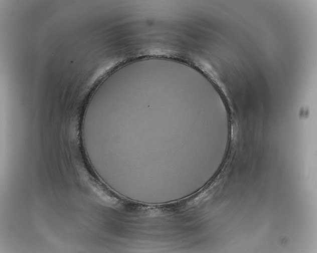 X0000091540249200709141501