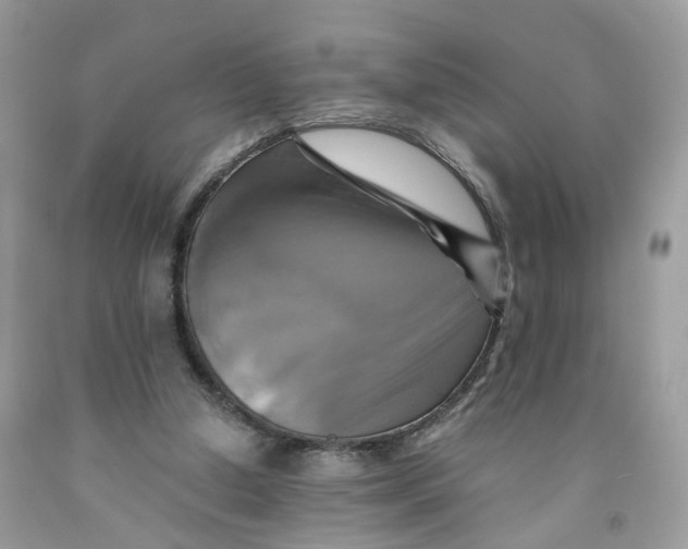 X0000091540250200709141501