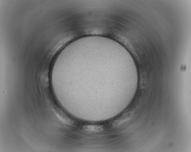 X0000091540251200709141501