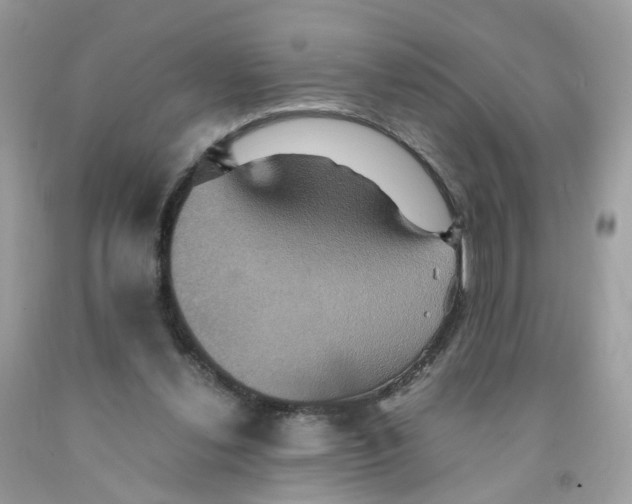 X0000091540252200709141501