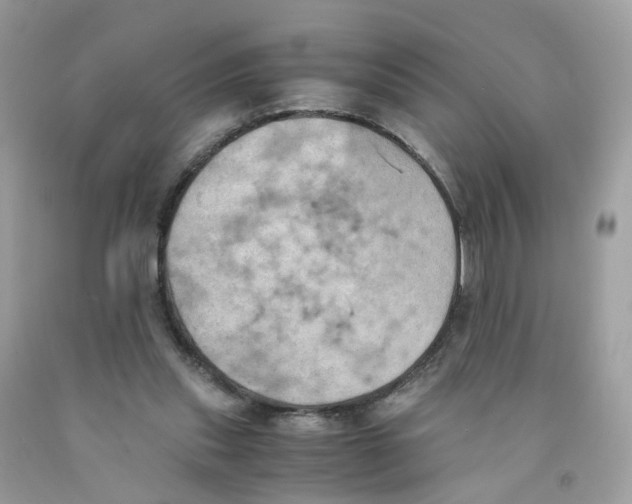 X0000091540253200709141501