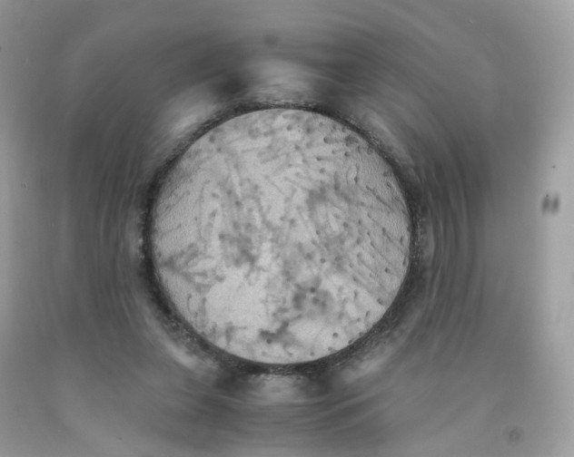 X0000091540255200709141501