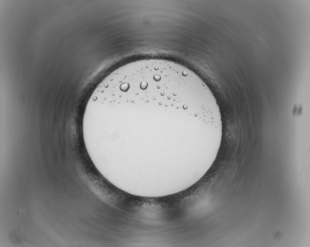 X0000091540256200709141501