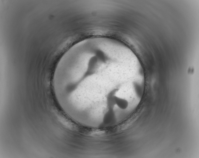 X0000091540257200709141501