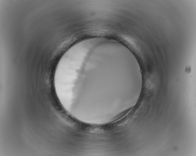 X0000091540258200709141501