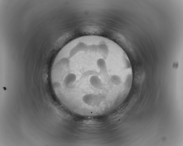 X0000091540259200709141501