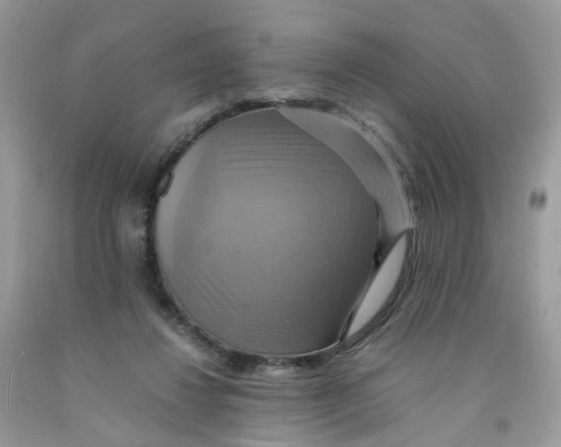 X0000091540260200709141501