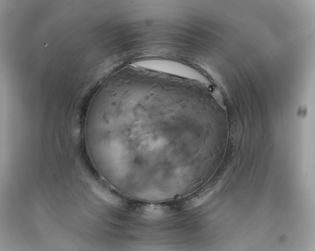 X0000091540261200709141501