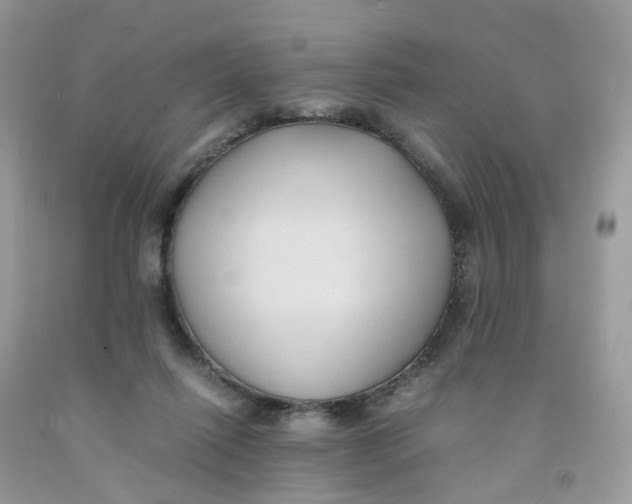 X0000091540262200709141501