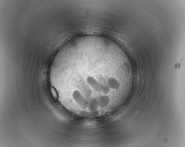 X0000091540263200709141501