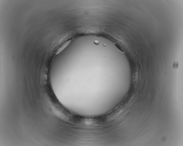 X0000091540264200709141501